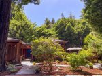 Serenity Grove - peaceful and serene